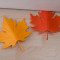 Подпорка для двери autumn оранжевая
