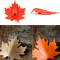 Подпорка для двери autumn оранжевая